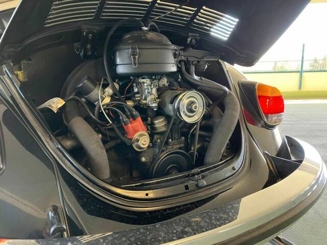 Volkswagen Beetle 1302