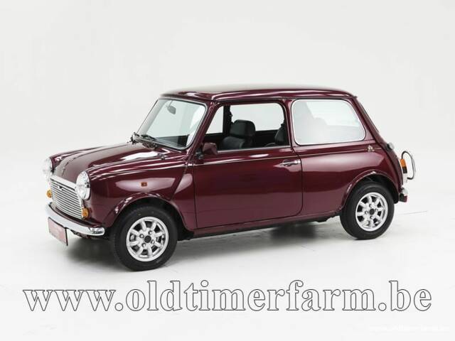 Bild 1/15 von Austin Mini 30 (1989)