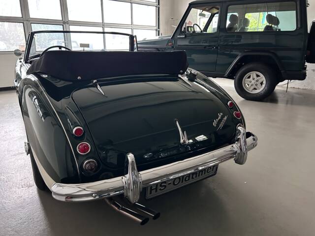 Austin-Healey 3000 Mk II (BJ7)