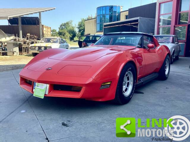 Image 1/10 de Chevrolet Corvette Sting Ray (1982)