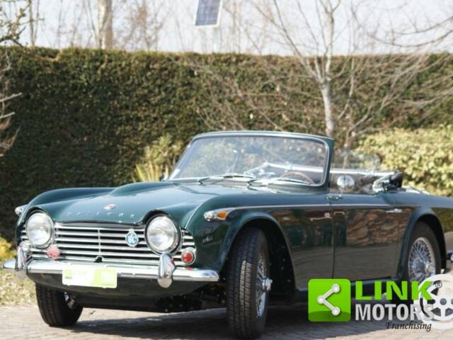 Bild 1/10 von Triumph TR 4 (1965)