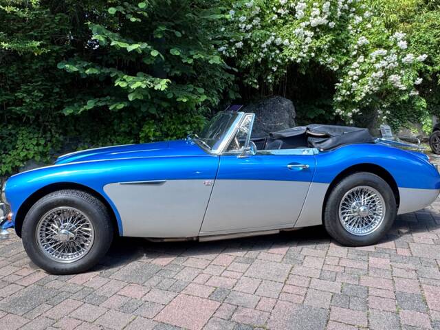 Austin-Healey 3000 Mk III (BJ8)