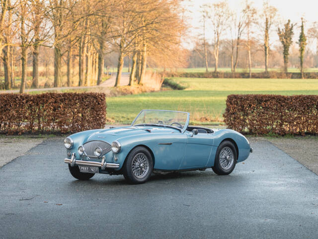 Image 1/37 de Austin-Healey 100&#x2F;4 (BN1) (1955)