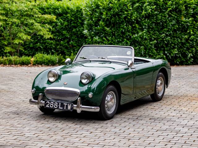 Bild 1/40 von Austin-Healey Sprite Mk I (1958)