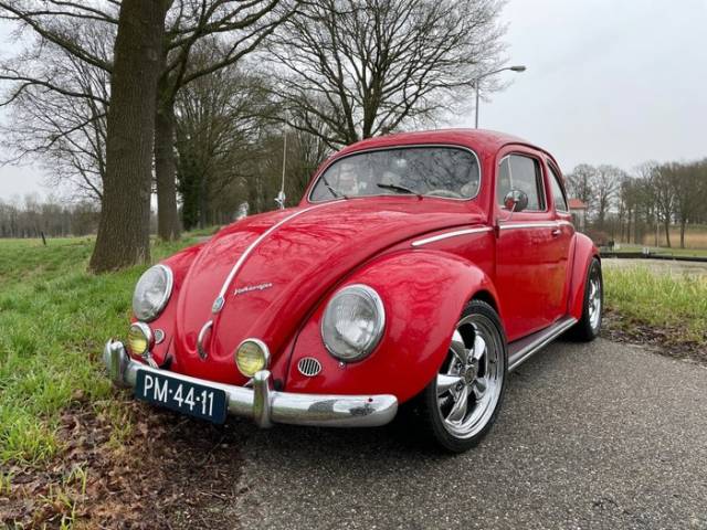 Image 1/7 de Volkswagen Beetle 1100 Standard (Brezel) (1952)