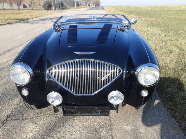 Bild 1/28 von Austin-Healey 100/4 (BN1) (1954)
