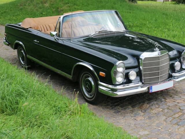 Image 1/4 of Mercedes-Benz 250 SE (1966)