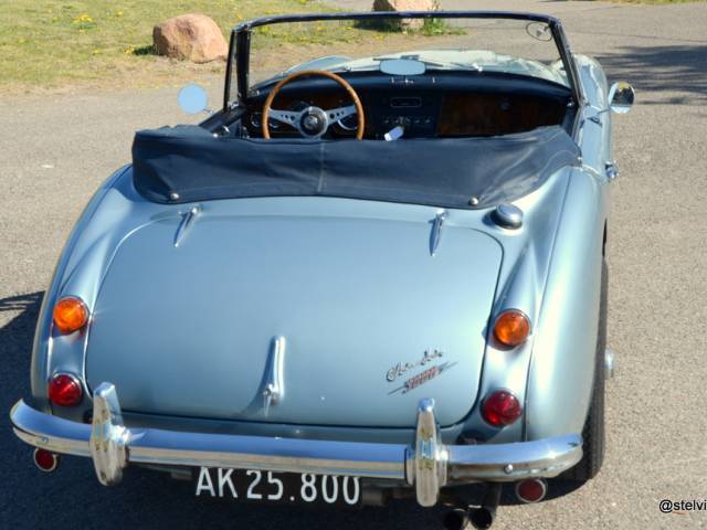 Austin-Healey 3000 Mk III (BJ8)