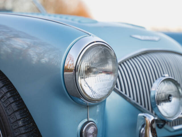 Austin-Healey 100/4 (BN1)