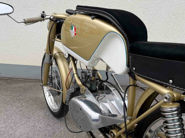 Rumi Junior Gentleman 125