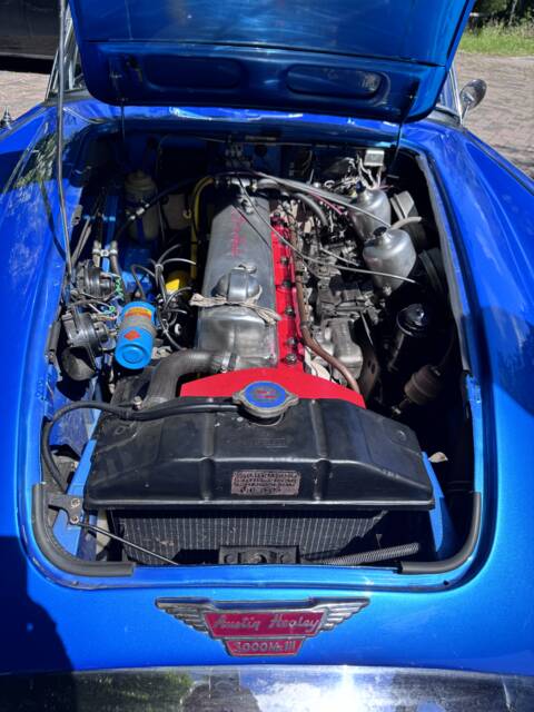 Austin-Healey 3000 Mk III (BJ8)