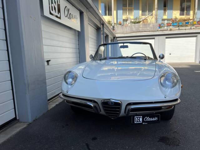Alfa Romeo 1300 Spider Junior