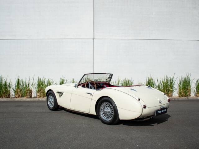 Austin-Healey 100/6 (BN4)