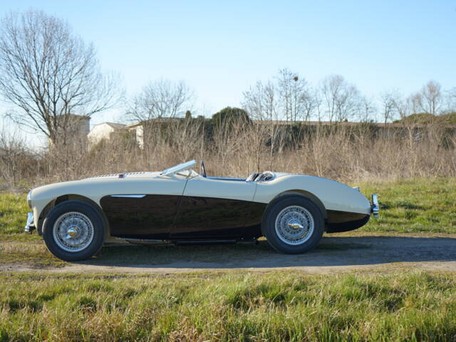 Austin-Healey 100/4 (BN2)