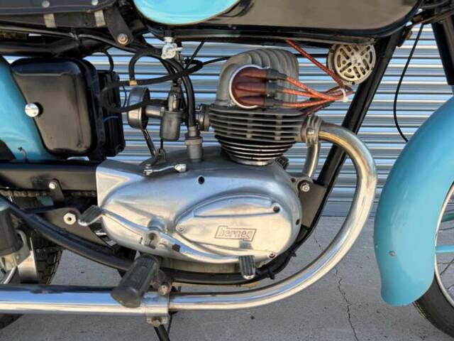 Berneg Fario 175