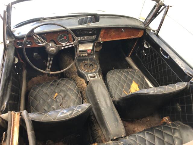 Austin-Healey 3000 Mk III (BJ8)