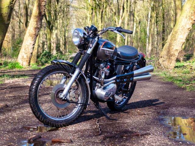Bild 1/20 von Triumph DUMMY (1979)