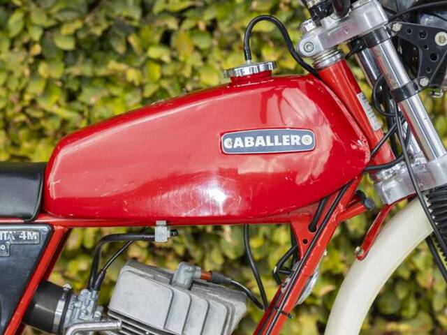 Fantic Caballero 50 Regolarità