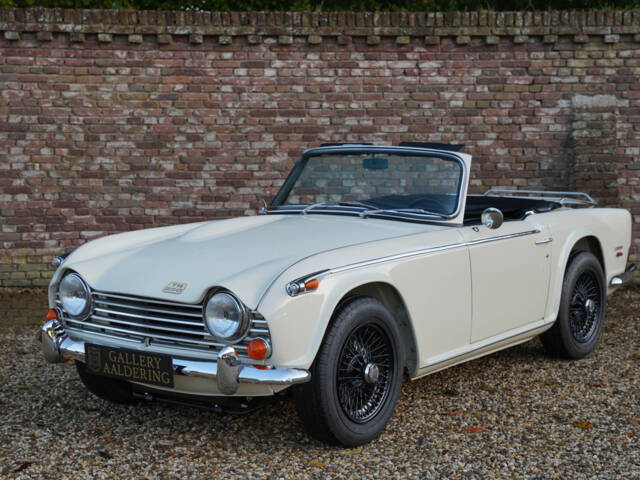 Image 1/50 de Triumph TR 250 (1968)