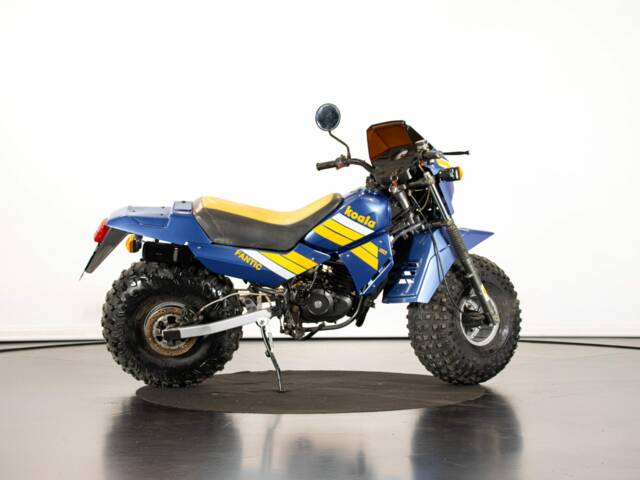 Fantic Koala 50