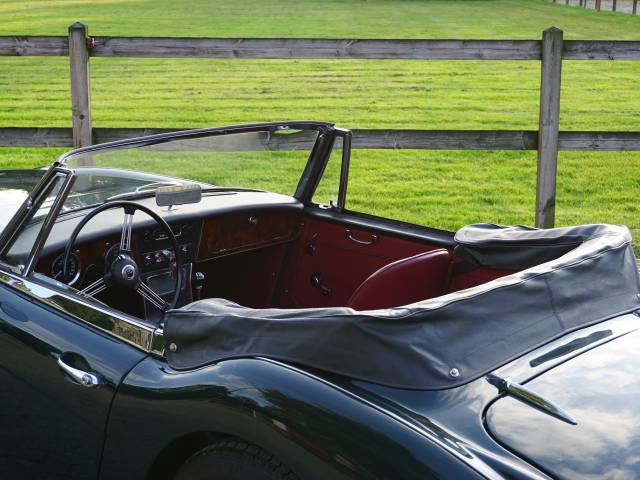 Austin-Healey 3000 Mk III (BJ8)