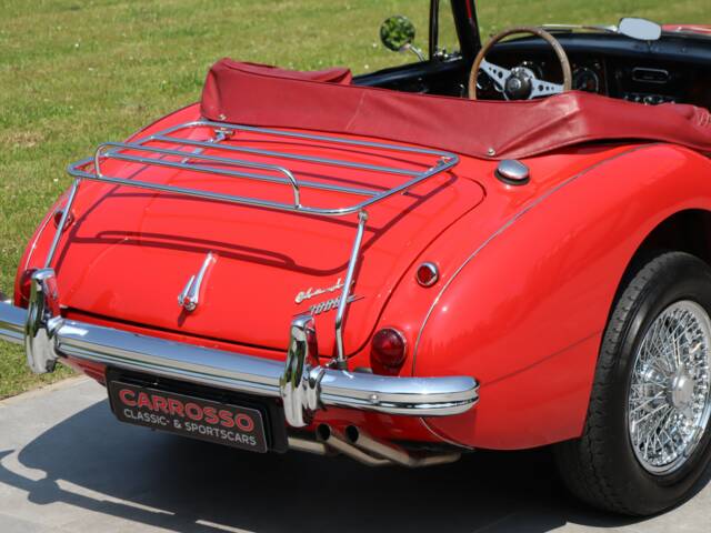 Austin-Healey 3000 Mk III (BJ8)