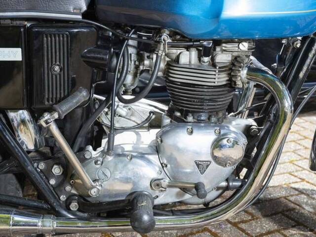 Triumph TR 6 Trophy / Tiger