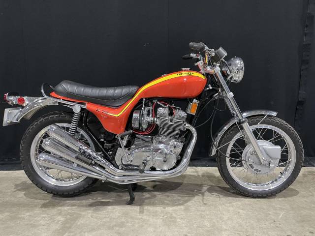 Imagen 1/21 de Triumph DUMMY (1973)