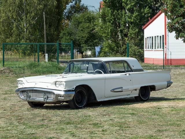 Bild 1/11 von Ford Thunderbird (1959)