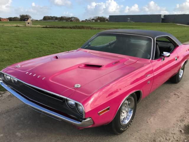 Bild 1/24 von Dodge Challenger R&#x2F;T (1970)