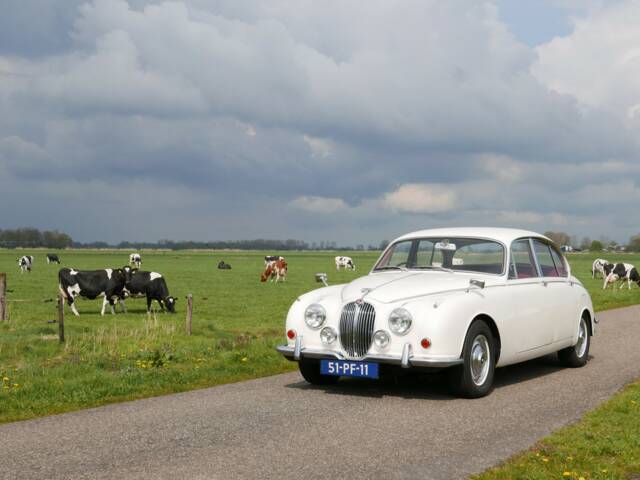 Jaguar 240