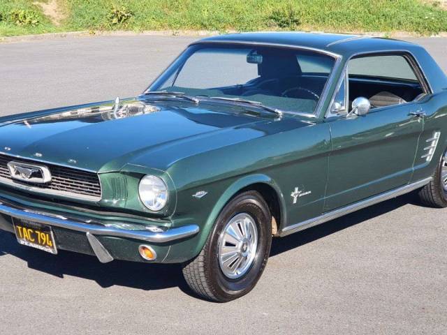 Bild 1/20 von Ford Mustang 289 (1966)