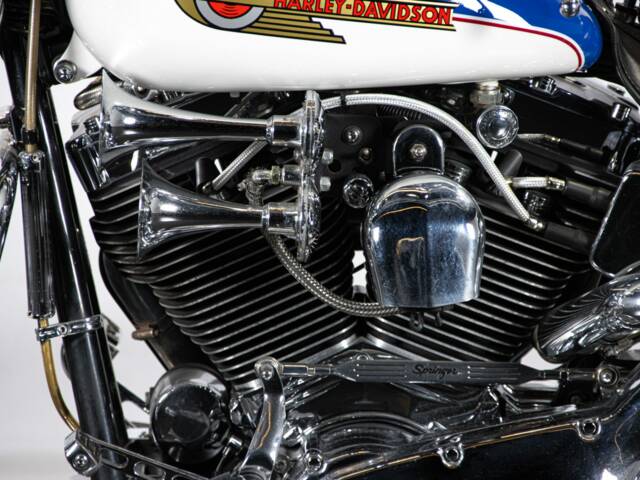 Harley-Davidson FXSTS Softail Springer