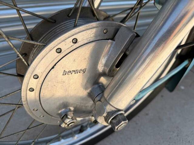 Berneg Fario 175