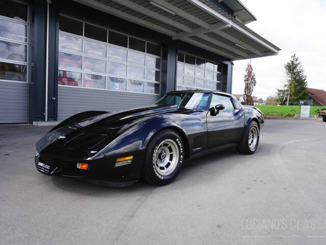 Imagen 1/58 de Chevrolet Corvette Sting Ray (1979)
