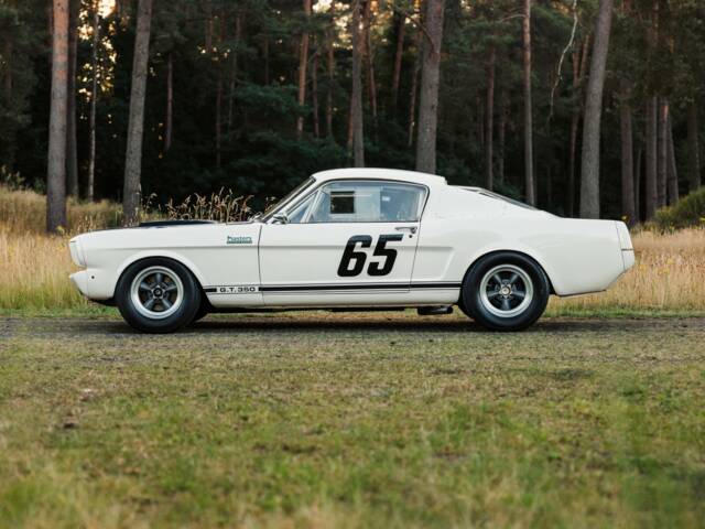 Ford Shelby GT 350