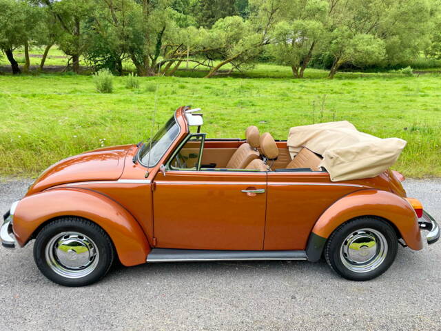 Volkswagen Beetle 1303