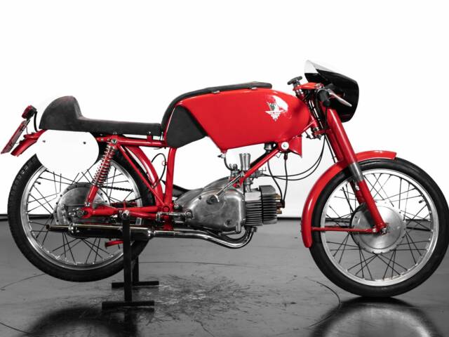 Rumi Junior Gentleman 125