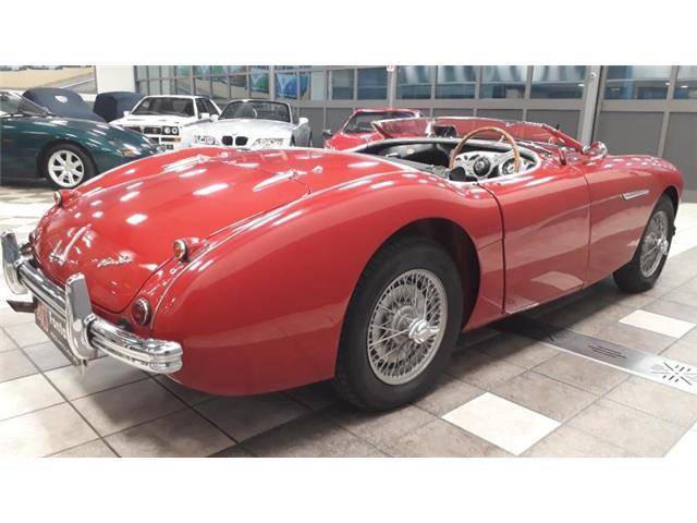 Austin-Healey 100/4 (BN1) (1955) für EUR 74.000 kaufen