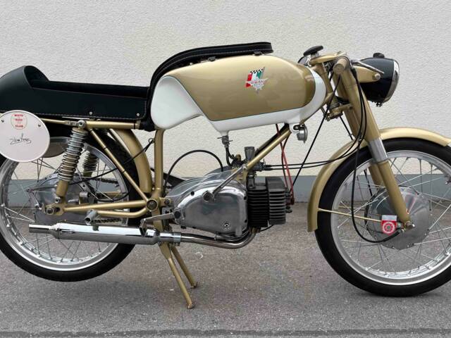 Rumi Junior Gentleman 125