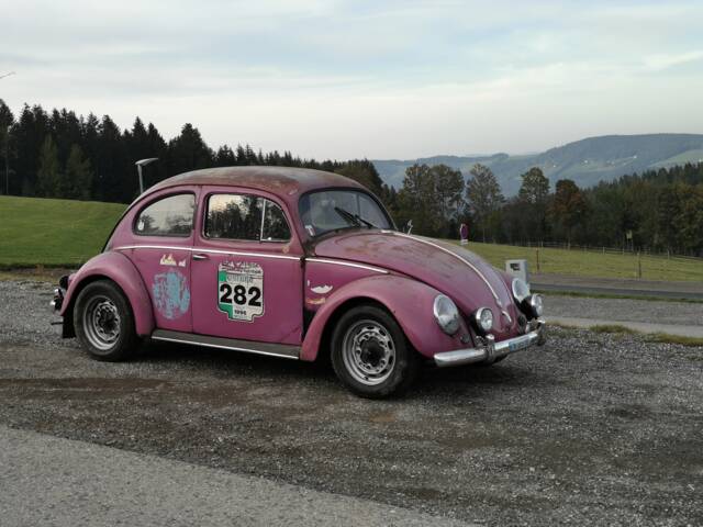 Image 1/47 of Volkswagen Beetle 1200 Export &quot;Oval&quot; (1956)