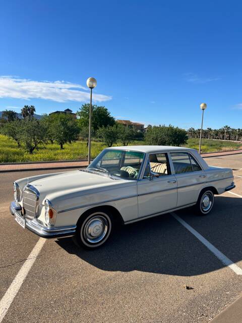 Afbeelding 1/50 van Mercedes-Benz 250 SE (1967)