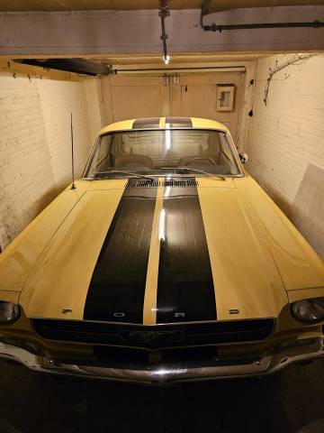 Bild 1/13 von Ford Mustang 200 (1966)