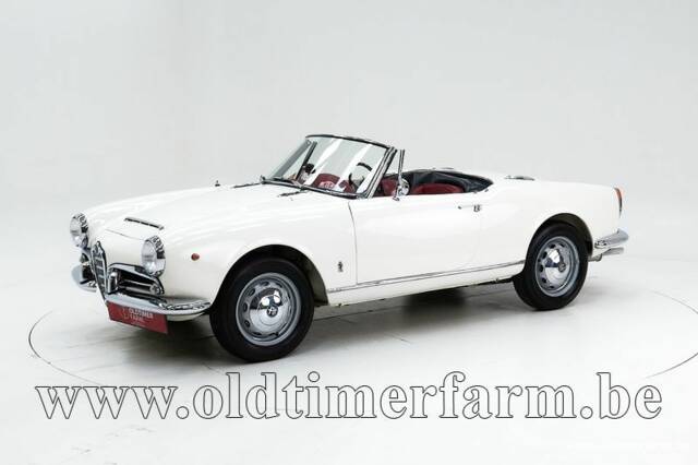 Image 1/30 of Alfa Romeo Giulia 1600 Spider Veloce (1965)