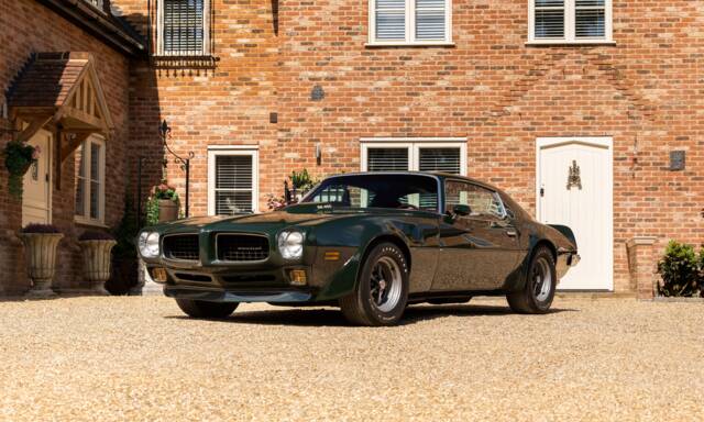 Bild 1/49 von Pontiac Firebird TransAm (1973)