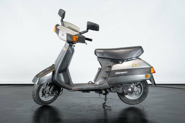 Immagine 1/21 di Peugeot DUMMY (1990)