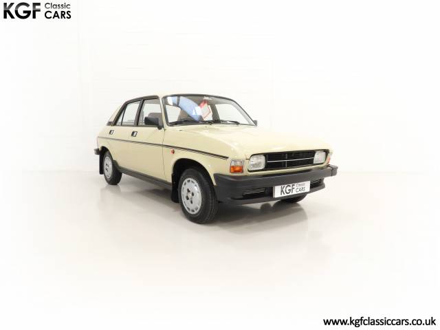 Image 1/30 de Austin Allegro 1300 (1979)