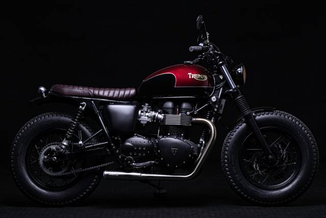 Bild 1/7 von Triumph DUMMY (2016)