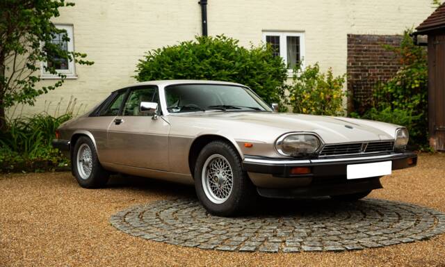 Immagine 1/40 di Jaguar XJ-S 3.6 (1988)