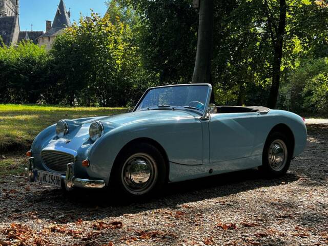 Image 1/8 de Austin-Healey Sprite Mk I (1960)